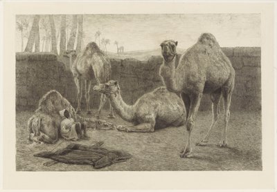 Camelos de August Le Gras
