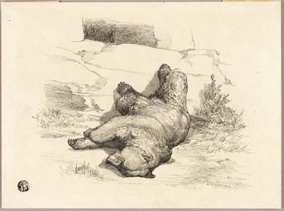 Urso russo de Auguste Andre Lancon