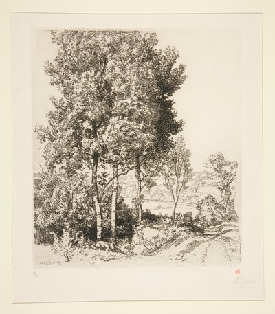 O Vale Petit Morin perto de Verdelot (Seine-et-Marne) (Pequeno Vale Morin perto de Verdelot [Seine-et-Marne]) de Auguste Lepere