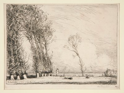 Cortina de Choupos (Vend?e) de Auguste Lepere