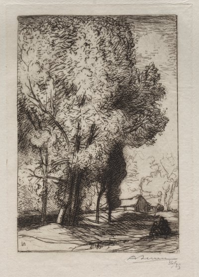 Bourrine dans les Peupliers, 1911. de Auguste Louis Lepère