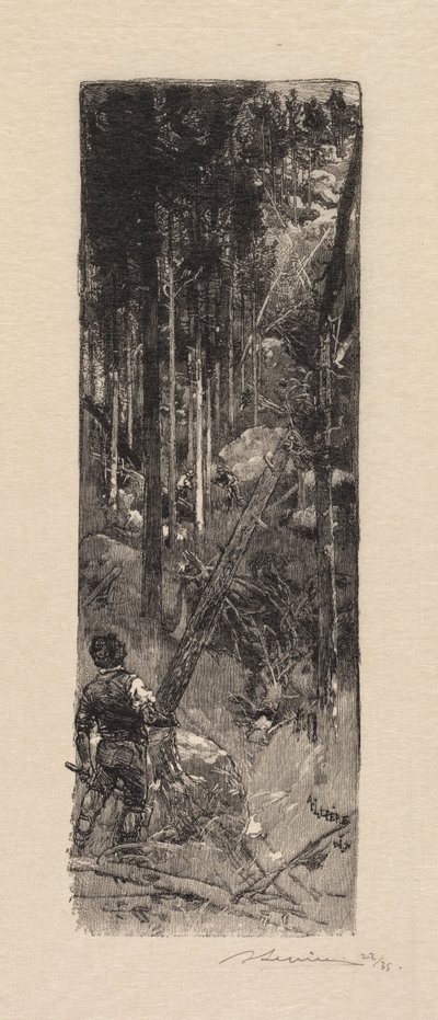 Floresta de Fontainebleau: Corte de pinheiros A Floresta de Fontainebleau: Abate de pinheiros, 1890. de Auguste Louis Lepère