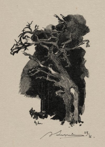 A raiva. de Auguste Louis Lepère