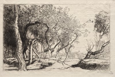 A árvore torcida de Auguste Louis Lepère