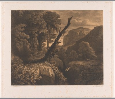 Paisagem montanhosa com pássaros voando por uma ravina Dix eaux-fortes por A. Numans (título da série) Faces de Auguste Numans para outros artistas (título da série) de Auguste Numans