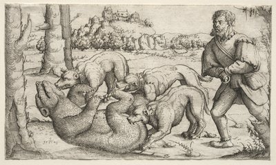 Uma caça ao urso, 1569. de Augustin Hirschvogel