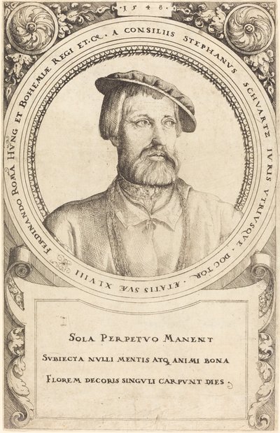 Doutor Stephen Schwartz, 1548. de Augustin Hirschvogel