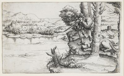 Pato Tiro com Armas de Fogo, 1545 de Augustin Hirschvogel
