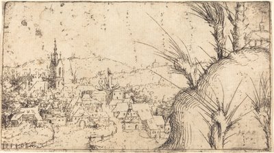 Paisagem com uma cidade à esquerda de Augustin Hirschvogel