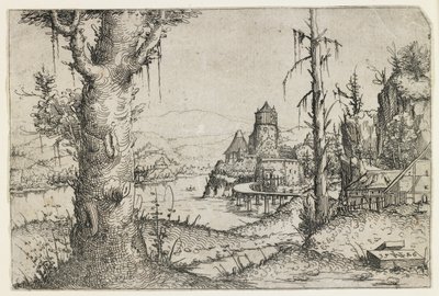 Grande Árvore e Castelo em um Lago de Augustin Hirschvogel