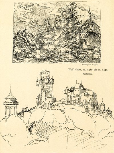 Estudo da natureza de Augustin Hirschvogel