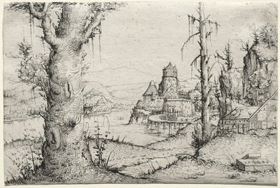 Paisagem do rio com grande árvore à esquerda de Augustin Hirschvogel