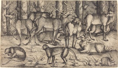 Veados na floresta de Augustin Hirschvogel