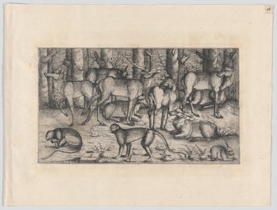 Veados na Floresta, 1545. de Augustin Hirschvogel