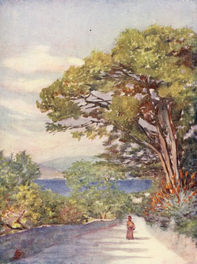 Uma estrada em Gibraltar (litografia a cores) de Augustine Fitzgerald