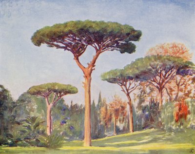 Rock Pines, Villa Floridiana (litografia a cores) de Augustine Fitzgerald