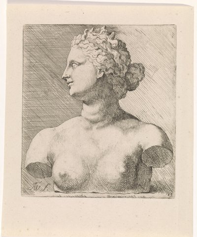 Busto de Vénus de