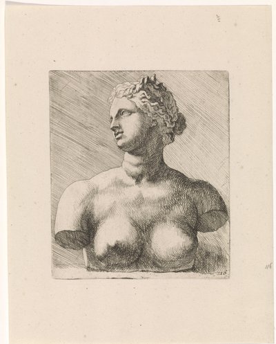 Busto de Vênus de