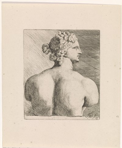 Busto de Vênus de