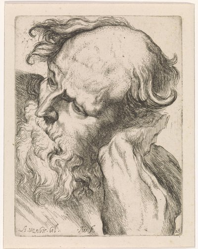 Cabeça de um homem velho (Joseph) Estudos para um livro de desenho a partir de esculturas e figuras clássicas de Anthony van Dyck (título da série) de Augustinus Terwesten (I)