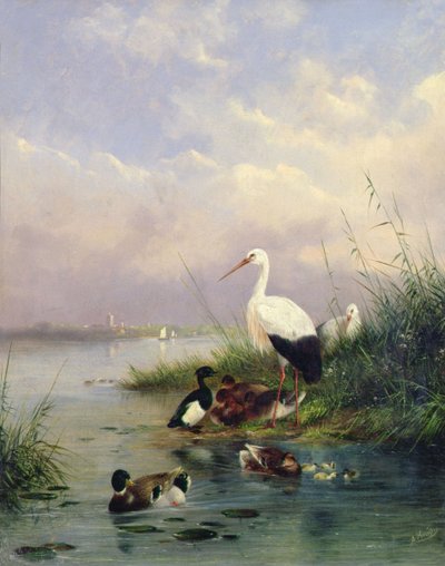 Uma família de Mallard, duas Storks e uma família de Tufted Ducks (par de 77886) de Augustus Knip