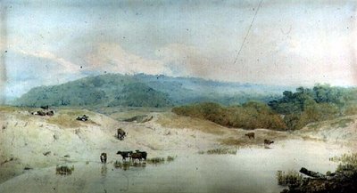 Vista em Yorkshire, rio e gado, (desenho) de Augustus Wall Callcott