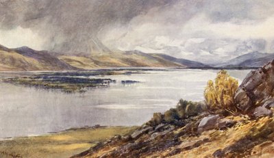 Loch Maree (litografia a cores) de Augustus Watford Weedon