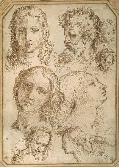 Estudos da cabeça: uma mulher, um anjo, um jovem e um homem barbado (caneta e tinta marrom sobre papel branco) de Aurelio (attr. to) Luini