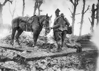 Um cavalo de artilharia usado para o transporte de munição para as armas e seu motorista australiano não identificado em uma pista de patinação entre Mametz e Montauban, dezembro de 1916 de Australian Photographer