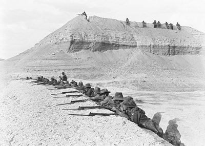 Vista lateral, de, homens, de, a, 5, luz australiana, brigada cavalo, ligado, alerta, em, um, seção, de, a, cabeça-de-ponte, abril, 1918 de Australian Photographer