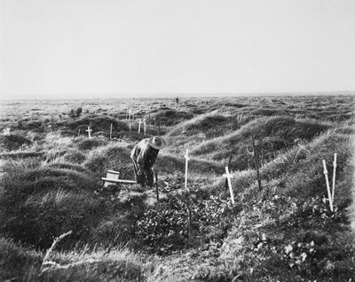 Vista de sepulturas australianas espalhadas ao longo da linha OG1 no campo de batalha de Pozieres, 16 de setembro de 1917 de Australian Photographer