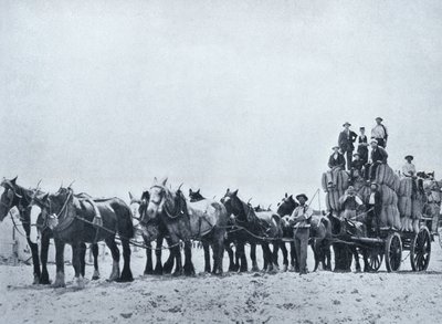 Equipe de transporte de lã, Austrália Ocidental, c.1900, de "Sob o Cruzeiro do Sul - Vislumbres da Austrália", publicada pelo Departamento de Assuntos Externos, Melbourne, 1908 de Australian Photographer