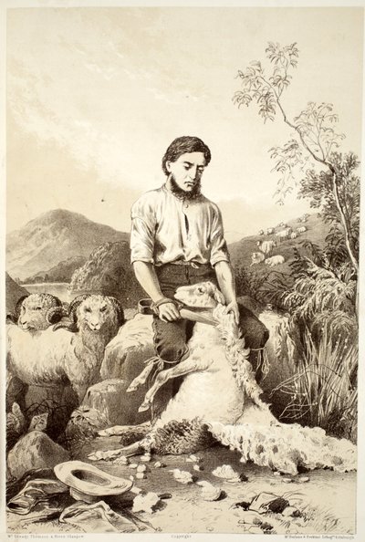 Tosquia de ovelhas, de The History of Australasia, de David Blair, McGrady, Thomson e Niven, 1879 de Australian School