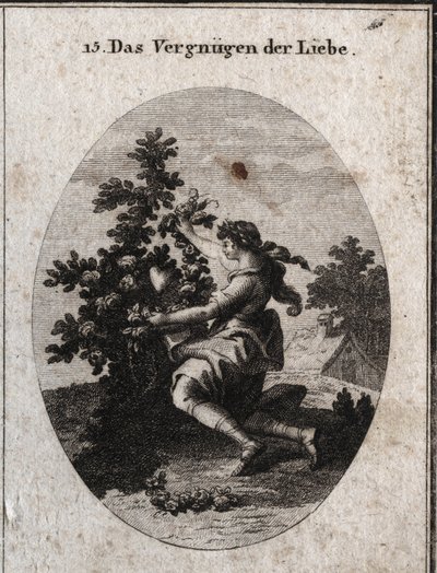 Alegoria de satisfação amorosa representada por um gracioso adolescente ajoelhado em frente a um coração no meio de uma roseira florida cujas rosas e espinhos são alusivos às tristezas e doces do amor. O amante chora para embelezar o que ama, que é de Austrian School