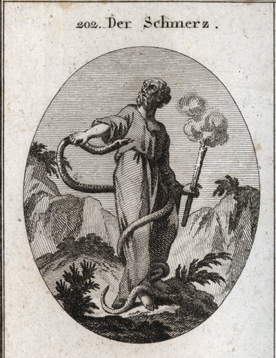 Alegoria da dor. Uma cobra monstruosa rodeia-o que, depois de ter atado os seus pés, ganha o seu corpo e tenta morder o seu coração. Ela segura uma tocha que ainda fuma, o que significa que o abatimento induzido pela dor cessa o fogo da alma. Gravura em "I de Austrian School