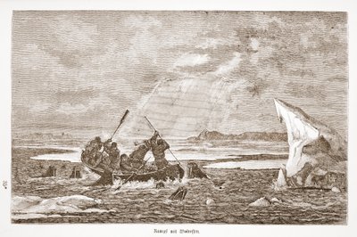 Lute com Morsa, 1876 de Austrian School