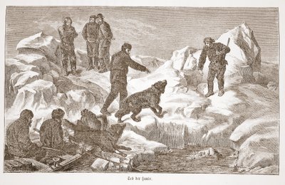 Caça com cães, 1876 de Austrian School