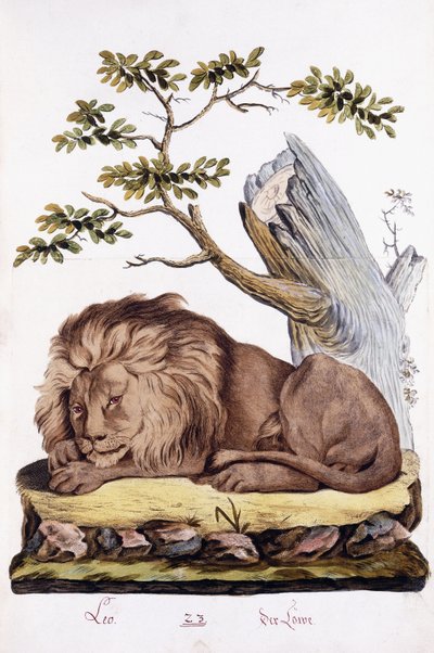 Leão, 1794 de Austrian School