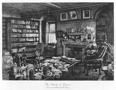 O Estudo em Down, pub. 1882 (gravura) de Axel (after) Haig