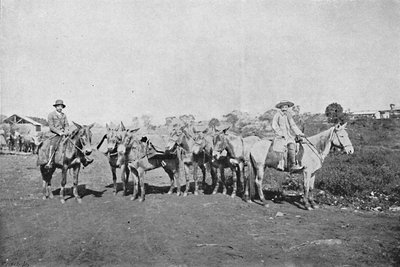 Negociantes do Interior, Traders of the Interior, 1895 de Axel Frick