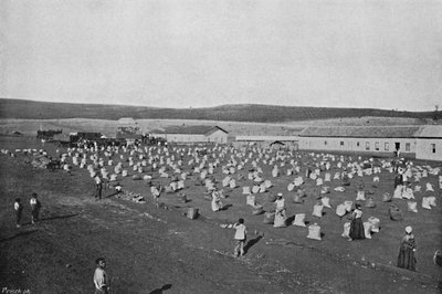 Terreiro para seccar o Cafe, Coffee Drying and Packaging, 1895 de Axel Frick