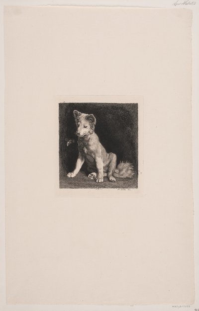 O cão e a abelha de Axel Helsted