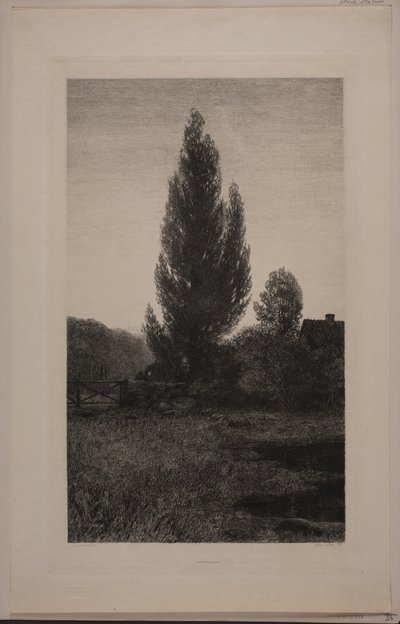 Dinamarquês: Sommeraften de Axel Holm