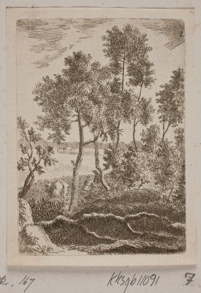 Lote da floresta de B. Flügge