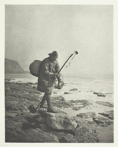 Camarão de B. Gay Wilkinson
