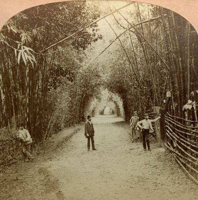 O Mardyke, Cork, Irlanda. de B. W. Kilburn
