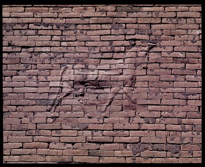 Detalhe de um touro, relevo do portão de Ishtar, 580 a.C. de Babylonian