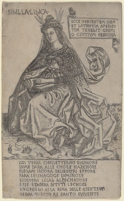 Floresta. de Baccio Baldini