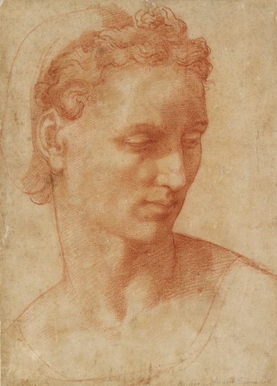 Cabeça de uma mulher, início do século 16 de Baccio Bandinelli