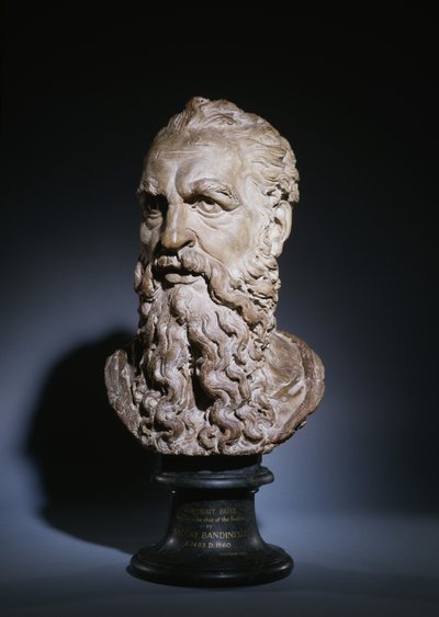 Estudo da Cabeça de São Paulo, c.1535 (terracota) de Baccio Bandinelli